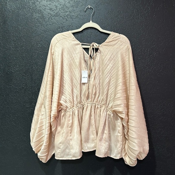 WILLOW & ROOT Pleated Chiffon Dolman Blouse Dusty Pink Size L NWT - Picture 1 of 9